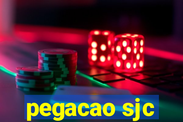 pegacao sjc